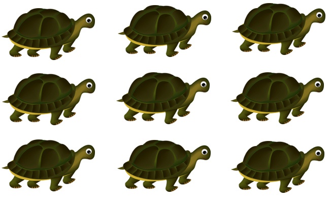 Девять черепах