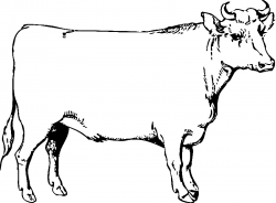 Умная корова