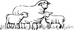 Мама овечка и дети