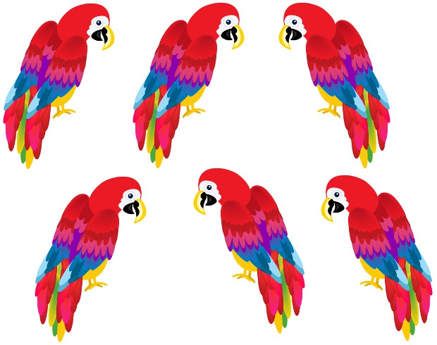 Шесть попугаев